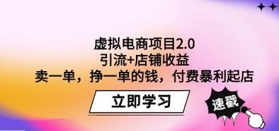 《虚拟电商项目2.0》引流+店铺收益，付费暴利起店