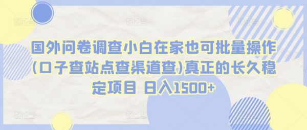 国外问卷调查项目，小白批量操作(口子查站点、查渠道)长久稳定日入1500+