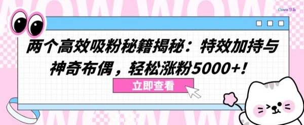 揭秘特效加持与神奇布偶高效吸粉秘籍，轻松涨粉5000+