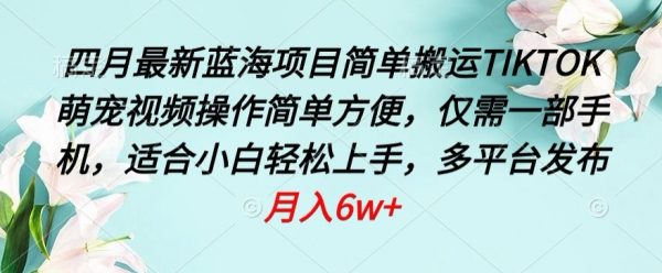最新蓝海项目，搬运TIKTOK萌宠视频，一部手机操作简单方便
