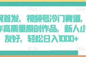 全网首发视频号冷门赛道，AI制作高质量原创作品，轻松日入1000+