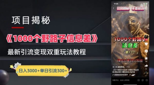 一千个野路子信息差最新玩法教程-变现+引流玩法