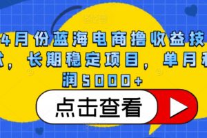蓝海电商撸收益技术，长期稳定项目，单月利润5000+