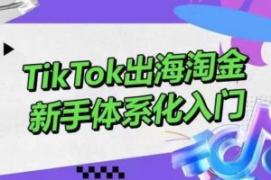 TikTok出海淘金，零基础快速入门，掌握短视频、直播带货等引流到变现的知识