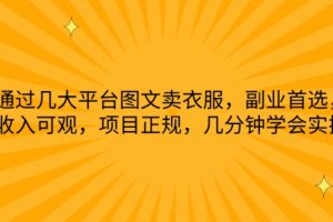 通过几大平台图文卖衣服，副业首选，收入可观，项目正规，几分钟学会实操