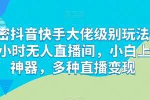解密抖音快手大佬级别玩法，24小时无人直播间，多种直播变现