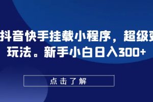0粉抖音快手挂载小程序，超级变脸玩法，新手小白日入300+
