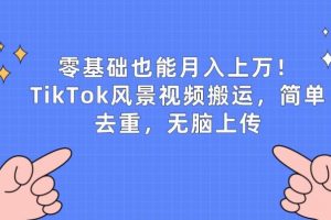 TikTok风景视频搬运，简单去重，零基础也能月入上w