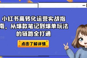 《小红书高转化运营实战指南》从爆款笔记到爆单玩法
