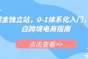 掘金独立站，0-1体系化入门，小白跨境电商指南