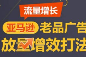 亚马逊流量增长-老品广告放量增效打法，打造更多TOP listing​