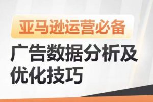 亚马逊运营必备，广告数据分析及优化技巧，高效提升广告效果