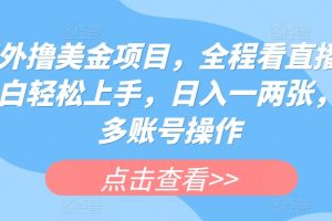 副业怎么搞钱，海外撸美金项目，小白轻松日入一两张