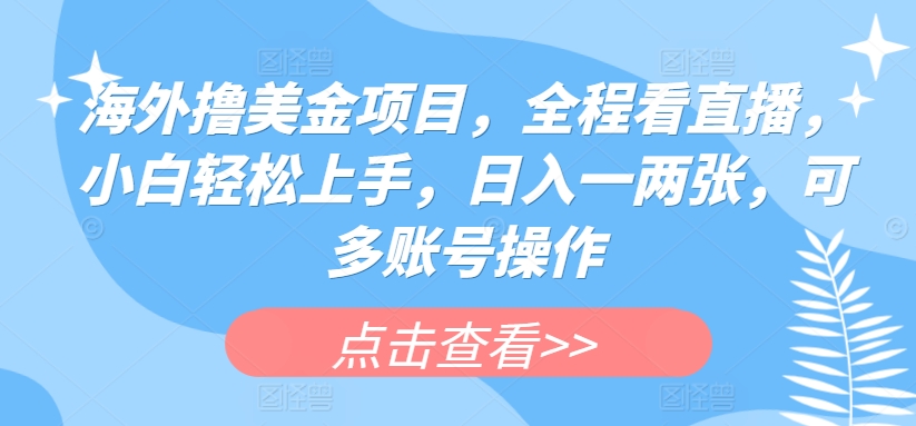 海外撸美金项目