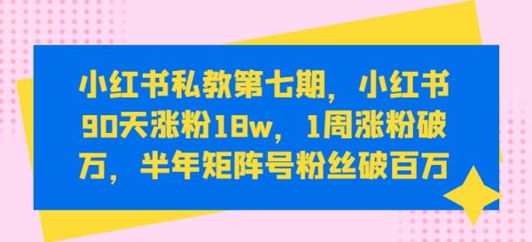 《第七期小红书私教》小红书90天涨粉18w，半年矩阵号粉丝破百万