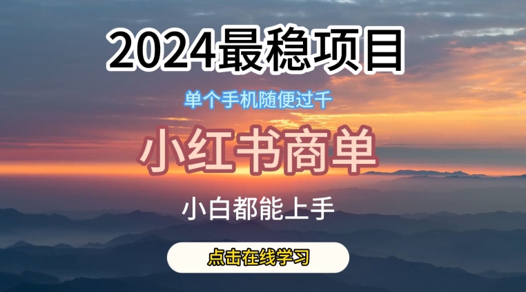 小红书商单项目