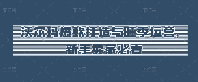 沃尔玛爆款打造与旺季运营