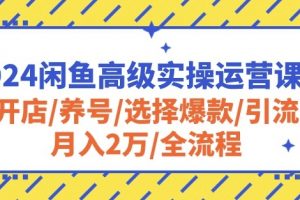 2024闲鱼高级实操运营教程：开店/养号/选择爆款/引流/月入2万/全流程