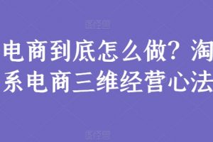 电商到底怎么做？淘系电商三维经营心法课