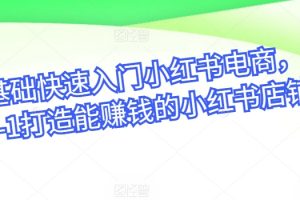 零基础快速入门小红书电商课，从0-1打造能赚钱的小红书店铺