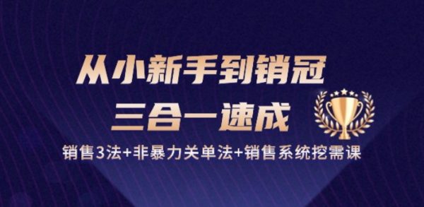 从小新手到销冠三合一速成：销售3法+非暴力关单法+销售系统挖需课