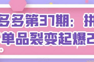 第37期拼多多课：拼多多单品裂变起爆