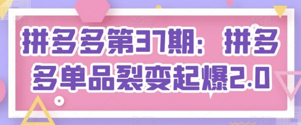 拼多多课