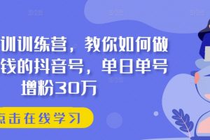 抖音实训训练营教程，教你做一个赚钱的抖音号，单日增粉30万