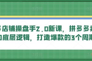 2.0多多店铺操盘手新课，拼多多卖货的底层逻辑，打造爆款