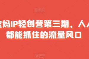 第三期《宝妈IP轻创营课程》人人都能抓住的流量风口