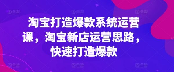 淘宝打造爆款系统运营课
