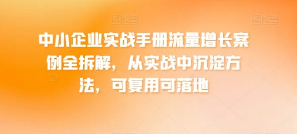 中小企业实战手册流量增长案例拆解，从实战中沉淀方法