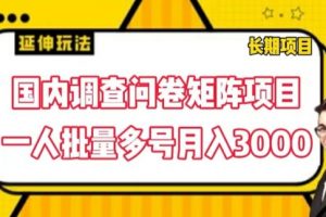 国内调查问卷矩阵项目，一人批量多号月入3000