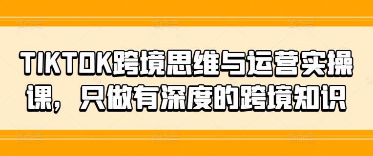 TIKTOK跨境思维与运营实操课