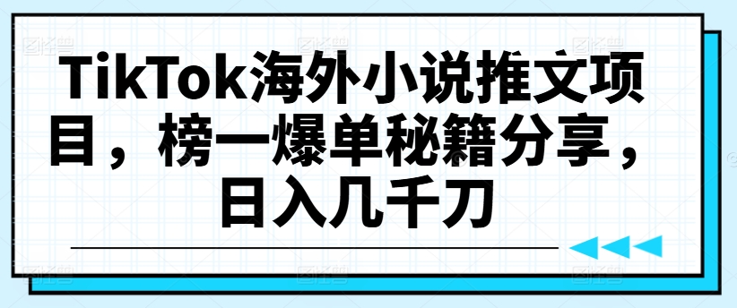 TikTok海外小说推文项目