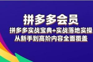 《拼多多实战宝典》实战落地实操