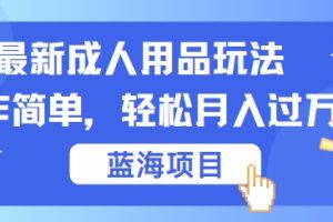 最新成人用品项目玩法，操作简单，动动手，轻松日入几张