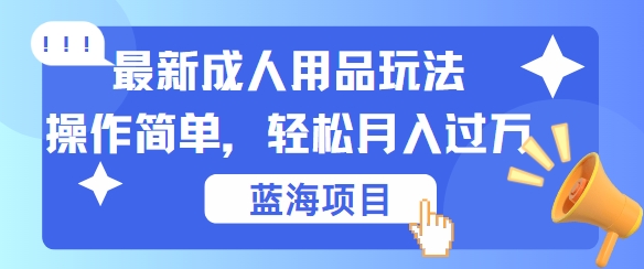 成人用品项目玩法