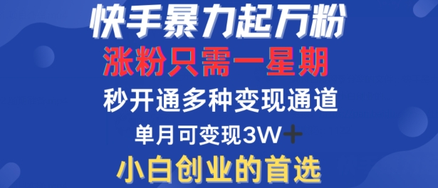 快手暴力起万粉