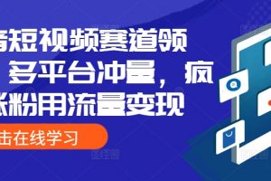 抖音短视频赛道领域，多平台冲量，疯狂涨粉用流量变现