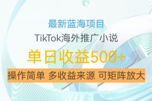 最新蓝海项目，利用tiktok海外推广小说赚钱佣金，简单易学，日入500+，可矩阵放大