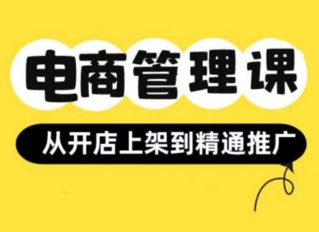 电商管理课