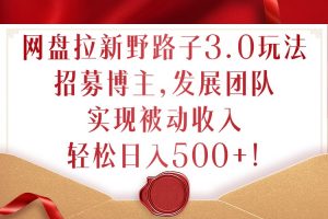 网盘拉新野路子3.0玩法，招募博主，发展团队，实现被动收入，轻松日入500+