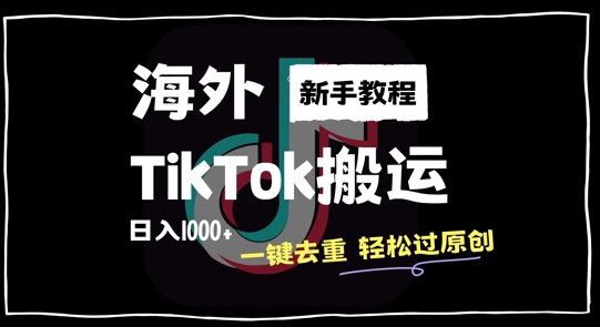海外TikTok搬运玩法