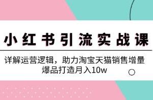 《小红书引流实战》助力淘宝天猫销售增量，打造爆品