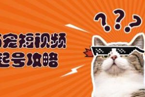 萌宠短视频起号攻略，定位搭建推流全解析，打造爆款