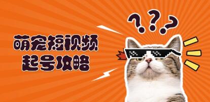 萌宠短视频起号攻略
