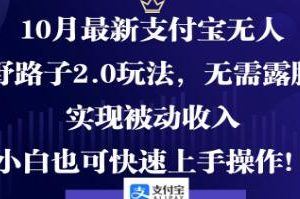 《支付宝无人野路子2.0玩法》无需露脸，实现被动收入