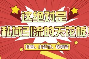 最新首发全平台引流玩法，公域引流私域玩法，轻松获客500+，附引流脚本，克隆截流自热玩法