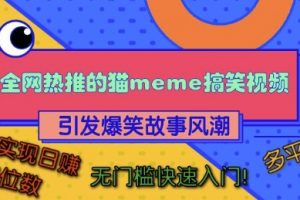全网热推的猫咪搞笑视频，引发爆笑故事风潮，多平台适用，轻松实现日入四位数，无门槛快速入门!